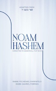 Picture of Noam Hashem Connecting to Hashem in all that we do [Hardcover]